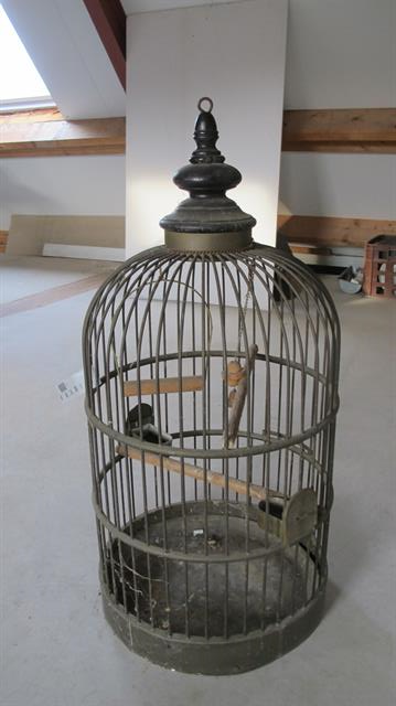 kantine/kantoor papagaaienkooi